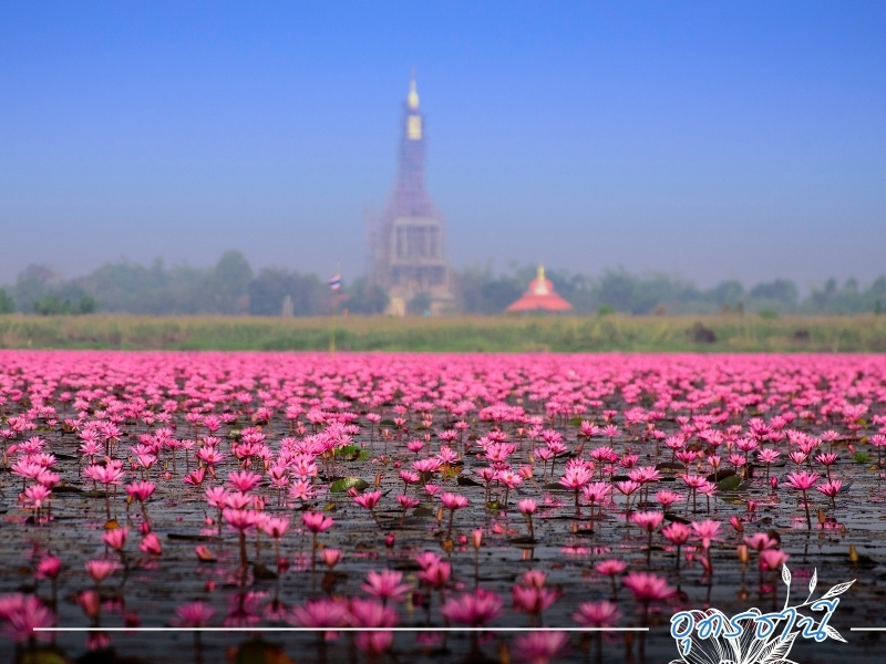 รถตู้วีไอพีให้เช่าพร้อมคนขับ อุดรธานี